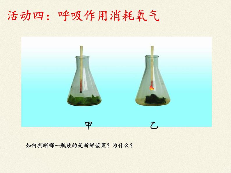 苏教版七年级生物上册 第六章 第四节 植物的呼吸作用(4)（课件）08