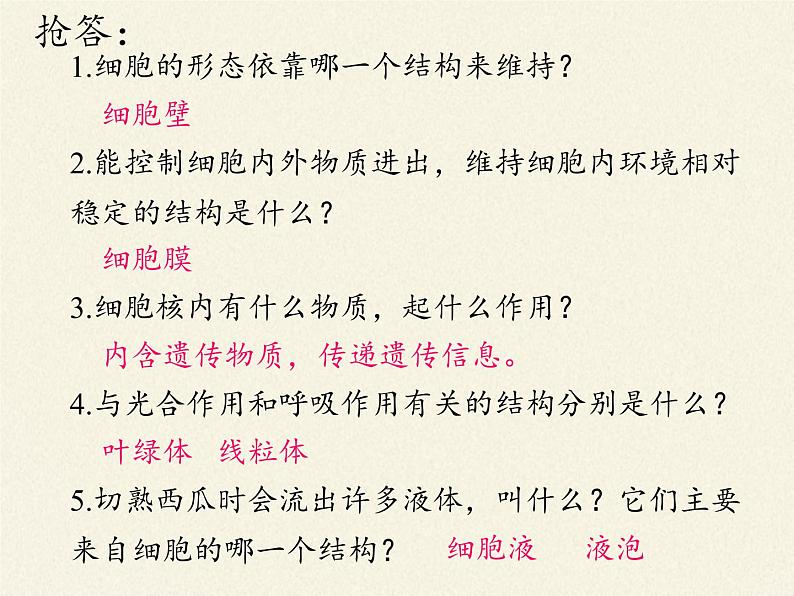 苏教版七年级生物上册 第三章 第二节 人和动物细胞的结构和功能(1)（课件）02