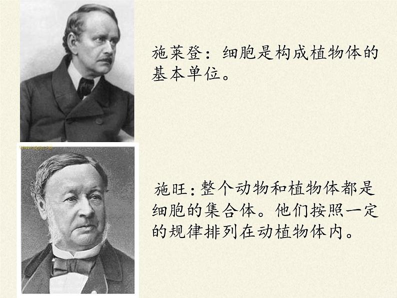 苏教版七年级生物上册 第三章 第二节 人和动物细胞的结构和功能(1)（课件）05