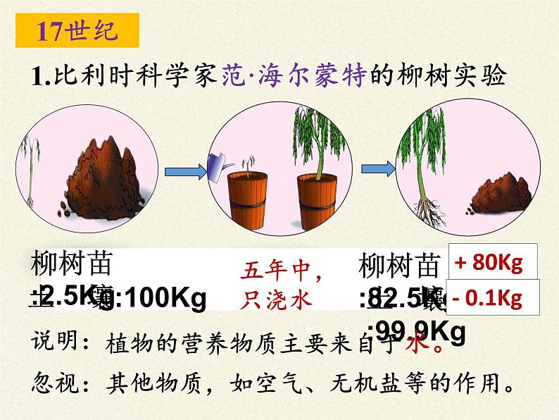 苏教版七年级生物上册 第六章 第一节 植物光合作用的发现（课件）05