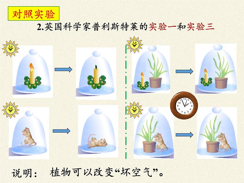 苏教版七年级生物上册 第六章 第一节 植物光合作用的发现（课件）06