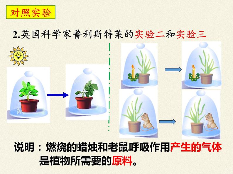 苏教版七年级生物上册 第六章 第一节 植物光合作用的发现（课件）07