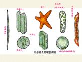 苏教版七年级生物上册 第三章 第一节植物细胞的结构和功能(5)（课件）