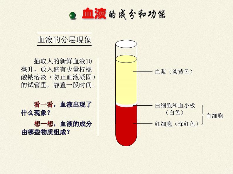 苏教版七年级生物上册 第三章 第二节 人和动物细胞的结构和功能(3)（课件）04