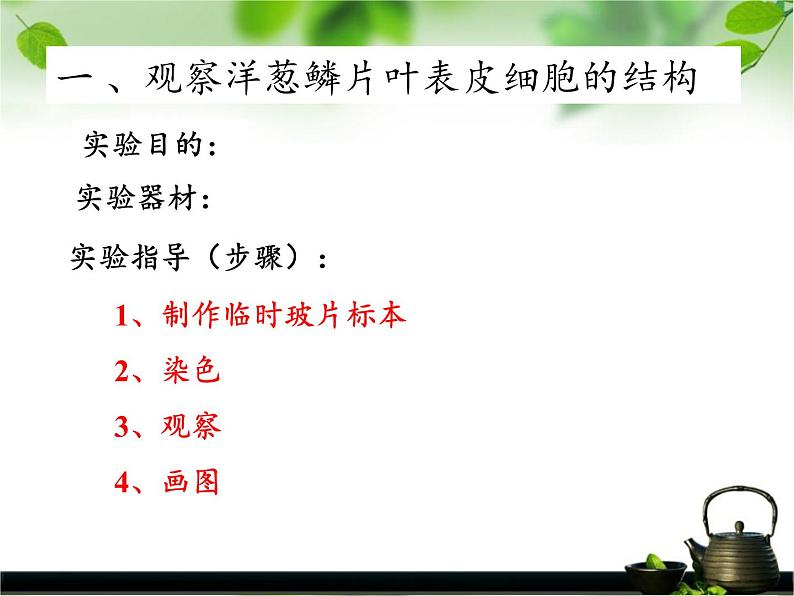 苏教版七年级生物上册 第三章 第一节 植物细胞的结构和功能(2)（课件）04