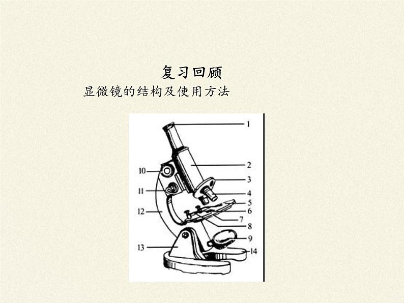 苏教版七年级生物上册 第三章 第一节植物细胞的结构和功能(6)（课件）02