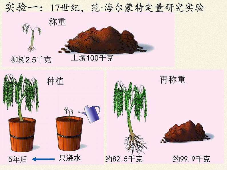 苏教版七年级生物上册 第六章 第一节 植物光合作用的发现(2)（课件）04