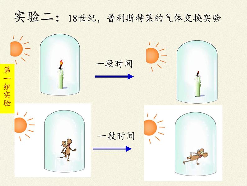 苏教版七年级生物上册 第六章 第一节 植物光合作用的发现(2)（课件）06