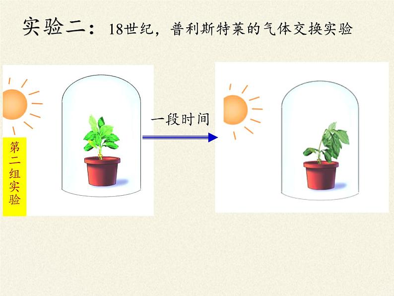 苏教版七年级生物上册 第六章 第一节 植物光合作用的发现(2)（课件）07