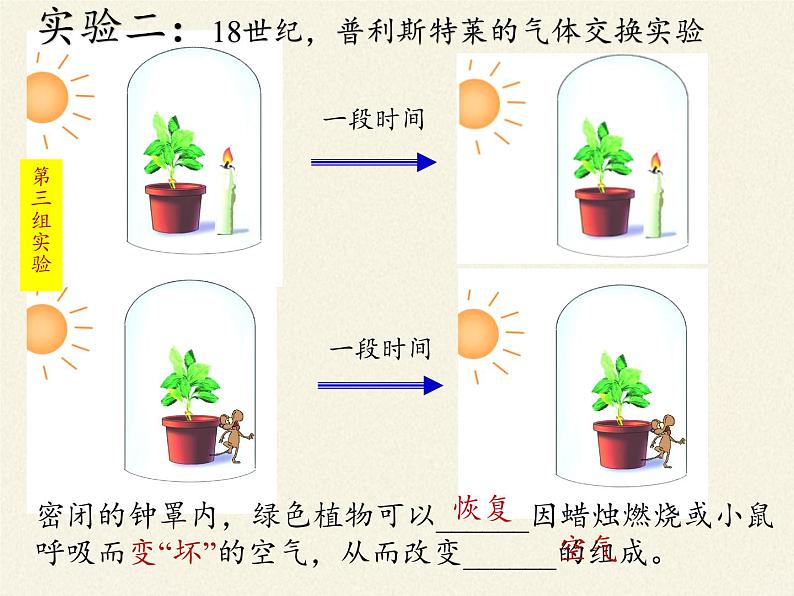 苏教版七年级生物上册 第六章 第一节 植物光合作用的发现(2)（课件）08