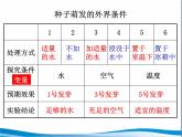 苏教版七年级生物上册 第五章 第一节 植物种子的萌发_（课件）