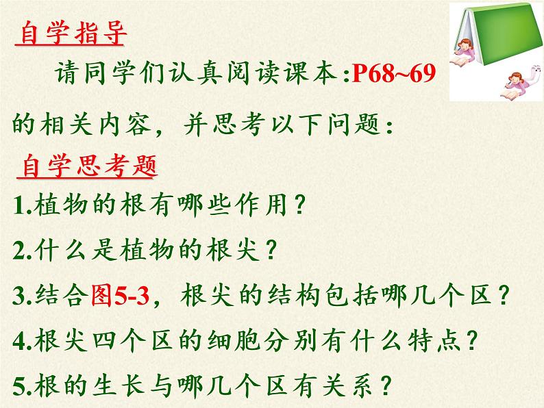 苏教版七年级生物上册 第五章 第二节 植物根的生长（课件）05