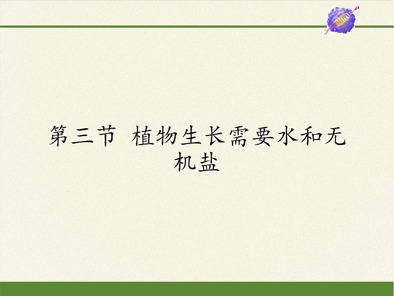 苏教版七年级生物上册 第五章 第三节  植物生长需要水和无机盐(3)（课件）01