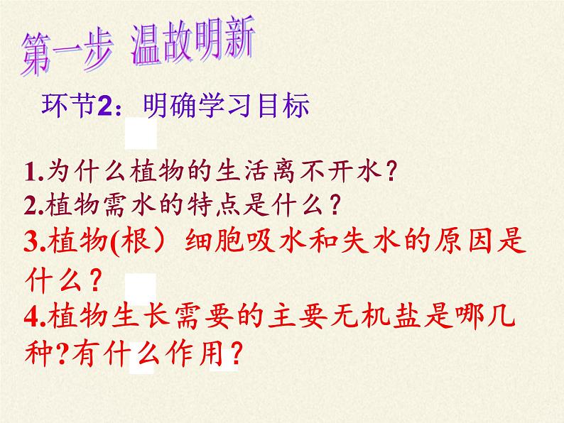 苏教版七年级生物上册 第五章 第三节  植物生长需要水和无机盐(3)（课件）03