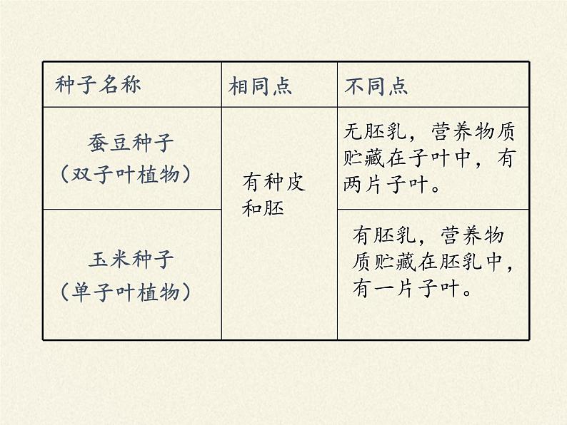 苏教版七年级生物上册 第五章 第四节 植物茎的输导功能(6)（课件）04