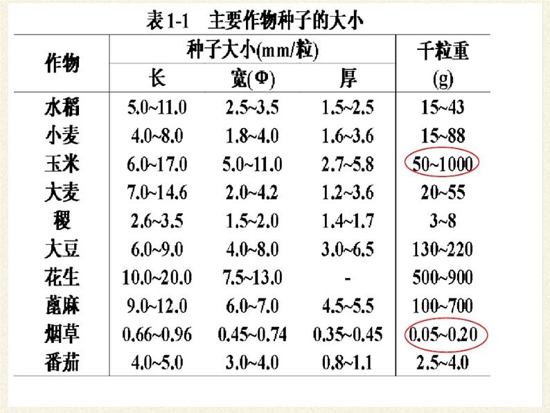 苏教版七年级生物上册 第五章 第一节 植物种子的萌发（课件）04