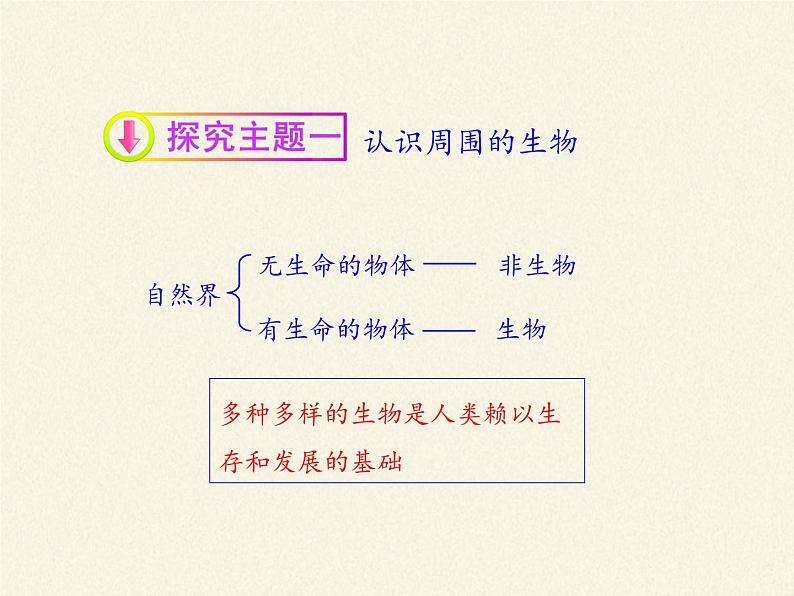 苏教版七年级生物上册 第一章 第一节  我们周围的生物(1)（课件）05