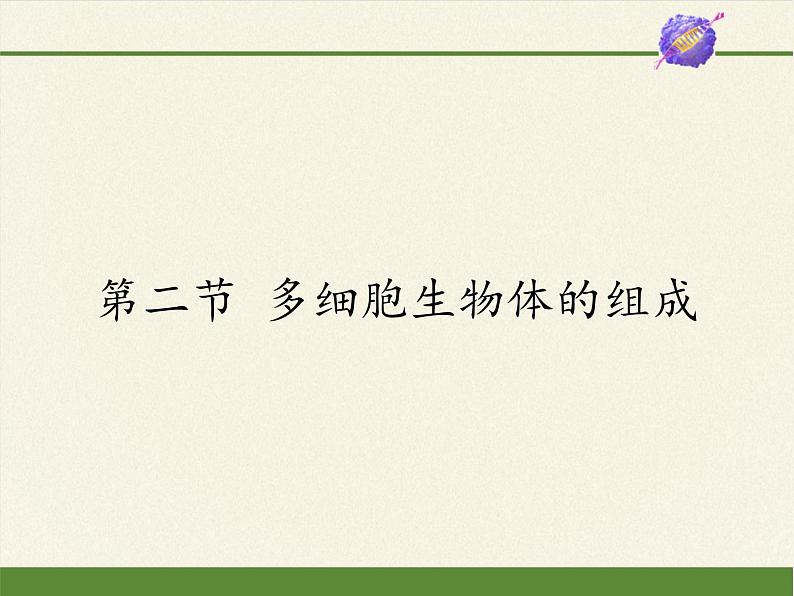 苏教版七年级生物上册 第四章 第二节 多细胞生物体的组成（课件）第1页