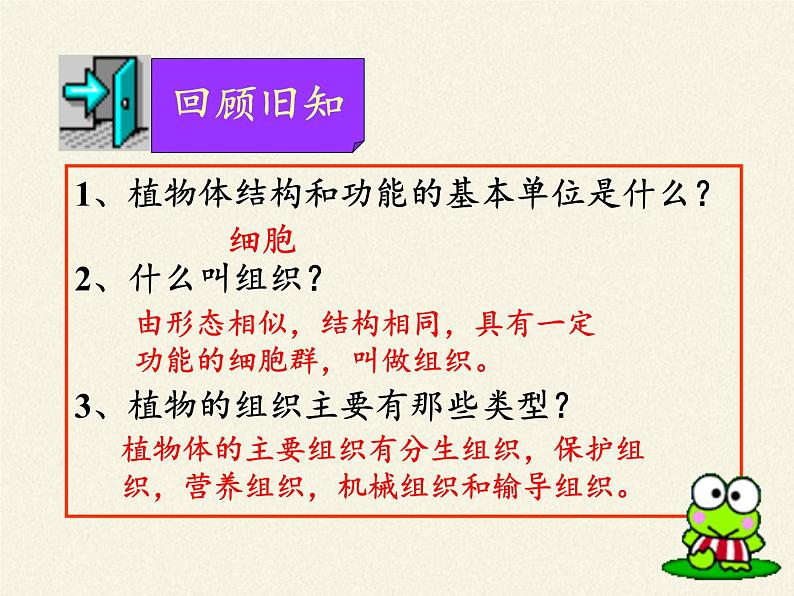 苏教版七年级生物上册 第四章 第二节 多细胞生物体的组成（课件）第2页