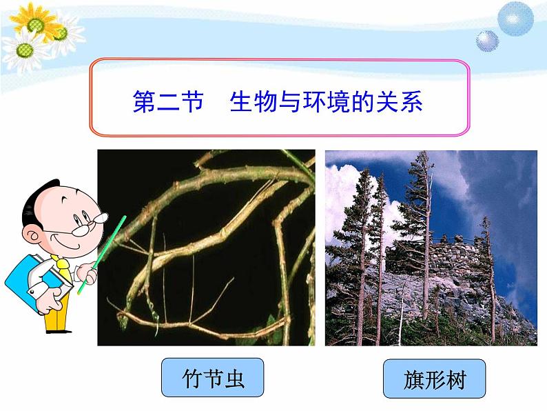 苏教版七年级生物上册 第一章 第二节  生物与环境的关系（课件）01