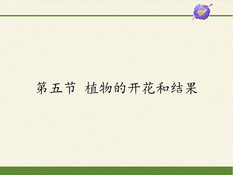 苏教版七年级生物上册 第五章 第五节 植物的开花和结果(3)（课件）第1页