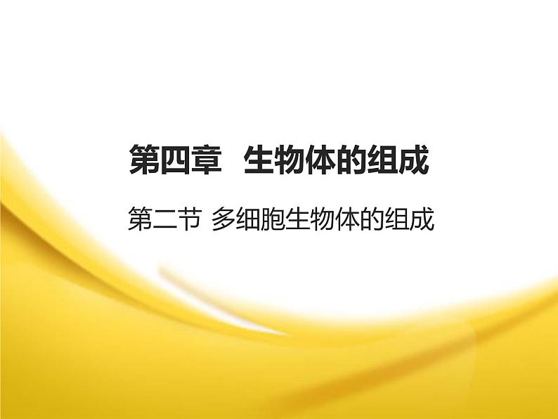 苏教版七年级生物上册 第四章 第二节 多细胞生物体的组成_（课件）第3页