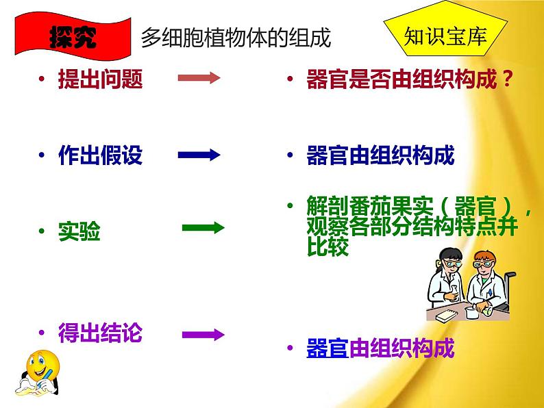 苏教版七年级生物上册 第四章 第二节 多细胞生物体的组成_（课件）第7页