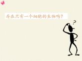 苏教版七年级生物上册 第四章 第一节 单细胞生物(1)（课件）