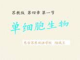 苏教版七年级生物上册 第四章 第一节 单细胞生物(1)（课件）