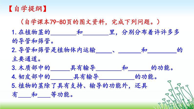 苏教版七年级生物上册 第五章 第四节 植物茎的输导功能（课件）04