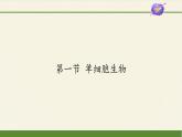 苏教版七年级生物上册 第四章 第一节 单细胞生物(2)（课件）