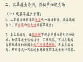 苏教版七年级生物上册 第四章 第一节 单细胞生物(2)（课件）