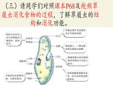 苏教版七年级生物上册 第四章 第一节 单细胞生物(2)（课件）
