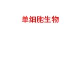 苏教版七年级生物上册 第四章 第一节 单细胞生物_（课件）