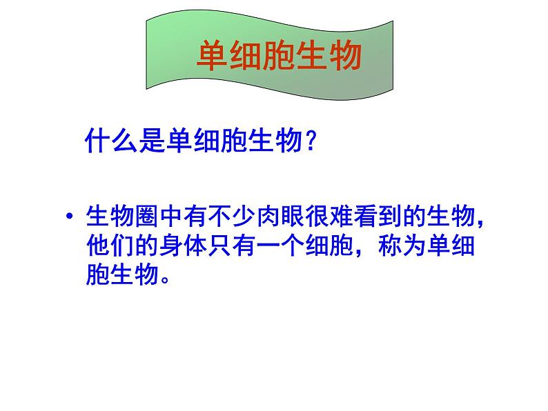 苏教版七年级生物上册 第四章 第一节 单细胞生物_（课件）02