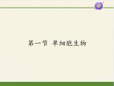 苏教版七年级生物上册 第四章 第一节 单细胞生物(7)（课件）