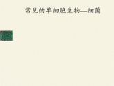 苏教版七年级生物上册 第四章 第一节 单细胞生物(4)（课件）