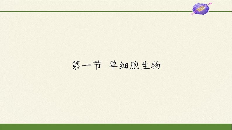 苏教版七年级生物上册 第四章 第一节  单细胞生物(6)（课件）01