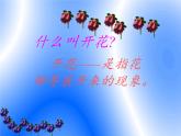 蘇教版七年級生物上冊 第五章 第五節(jié) 植物的開花和結(jié)果(2)（課件）