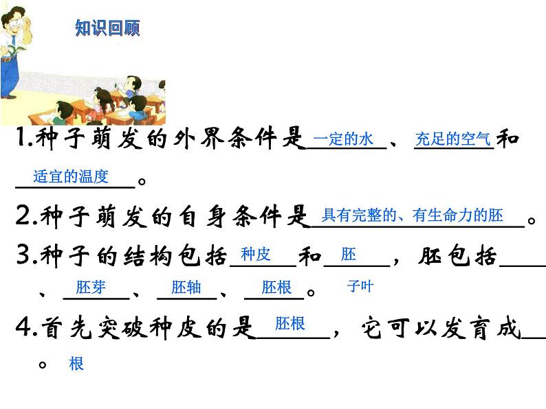 苏教版七年级生物上册 第五章 第二节 植物根的生长(1)（课件）01