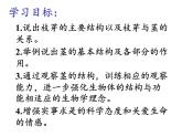 蘇教版七年級(jí)生物上冊(cè) 第五章 第四節(jié) 植物莖的輸導(dǎo)功能（課件）