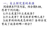 苏教版七年级生物上册 第五章 第四节 植物茎的输导功能（课件）