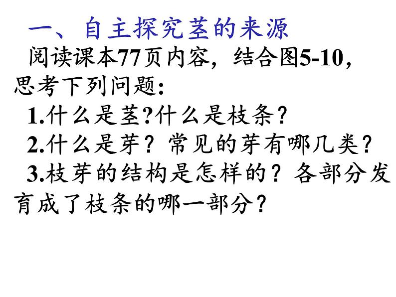 苏教版七年级生物上册 第五章 第四节 植物茎的输导功能（课件）03