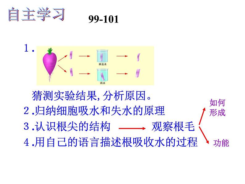 苏教版七年级生物上册 第五章 第三节 植物生长需要水和无机盐_（课件）03