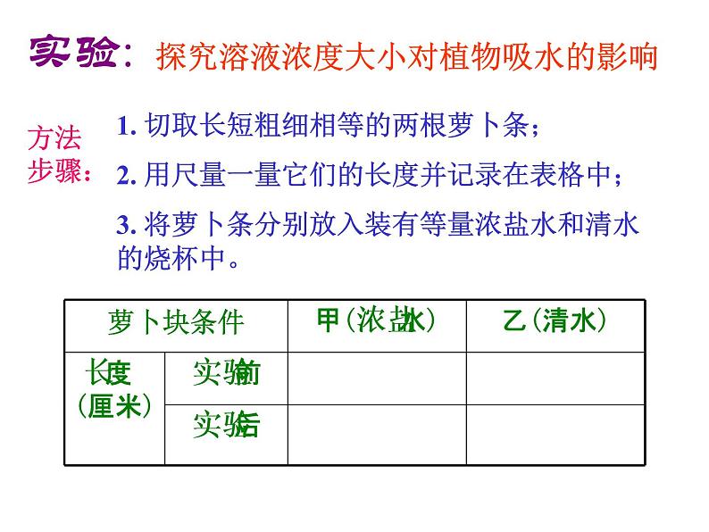 苏教版七年级生物上册 第五章 第三节 植物生长需要水和无机盐_（课件）06