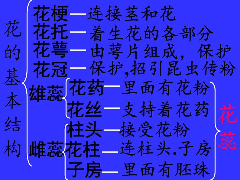 苏教版七年级生物上册 第五章 第五节 植物的开花和结果(5)（课件）第7页