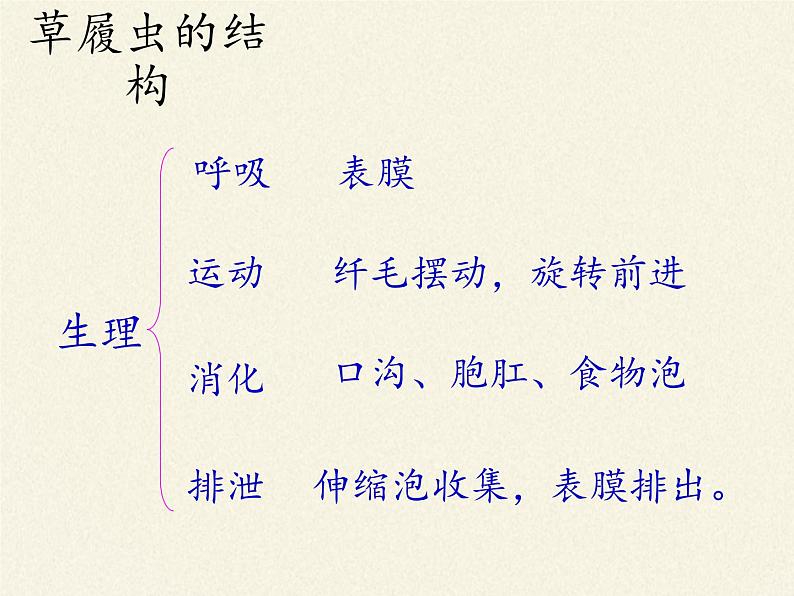 苏教版七年级生物上册 第四章 第一节 单细胞生物(3)（课件）08