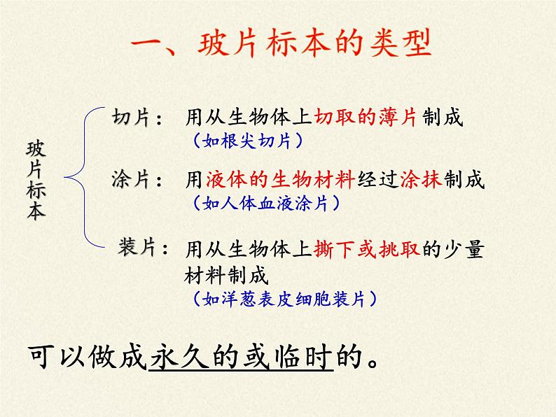 苏教版七年级生物上册 第一节 植物细胞的结构和功能（课件）02