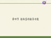 蘇教版七年級(jí)生物上冊(cè) 第五章 第四節(jié) 植物莖的輸導(dǎo)功能(2)（課件）