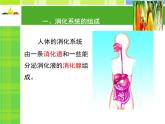 北师大版《食物的消化和营养物质的吸收》课件PPT